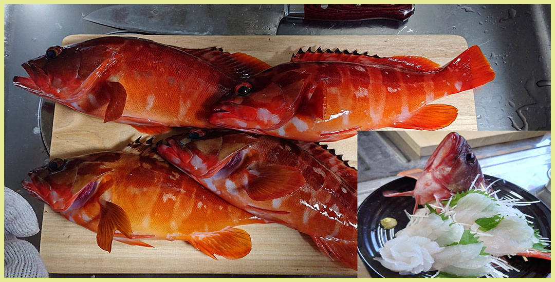魚捌き体験